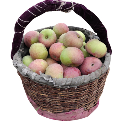 小国光酸甜脆孕妇老品种苹果