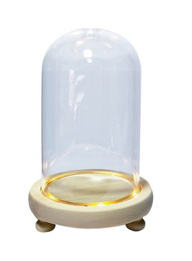 永生花发光透明玻璃创意摆件包邮