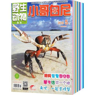 【送好礼】小哥白尼杂志野生动物画报 2026年1月起订杂志铺 1年共12期 6-15岁中小学生课外阅读 动物故事漫画图书 儿童科普期刊