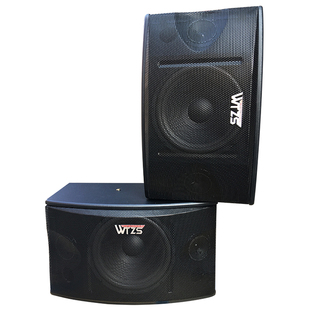 新款家用HIFI卡拉OK无源挂式送线舞台至胜10寸音箱一对送吊架+线