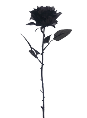 黑色仿真玫瑰花黑暗jk写真拍照
