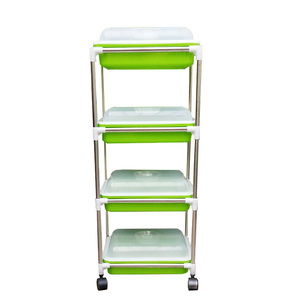 纸上种菜芽苗菜育苗盘带盖盘无土栽培设备水培蔬菜豆芽菜种植盘架