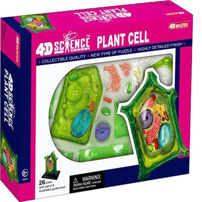 4DMASTER植物动物细胞模型模型