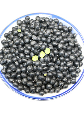 黑豆乌豆自家种五谷杂粮500g