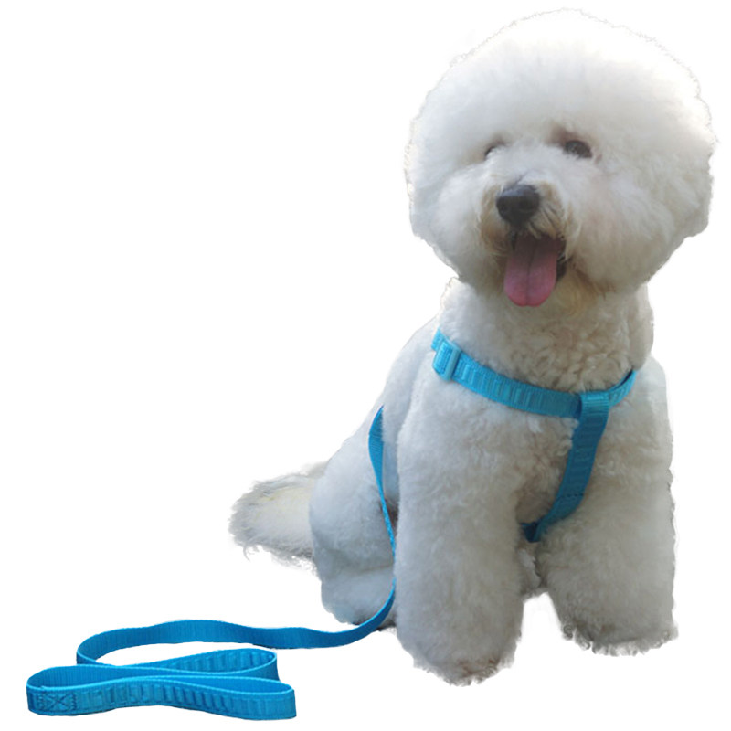 抗拉小狗狗贵宾犬泰迪背带牵引绳