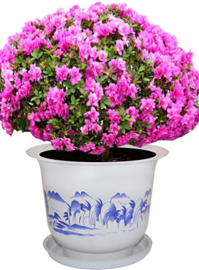 塑料花盆特大田园批发
