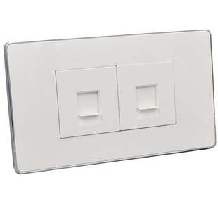 118型二位超六类屏蔽网络面板双口千兆电脑网口2个CAT6A模块插座