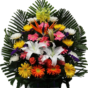 清明节扫墓花篮花束祭奠祭祀葬礼白事下葬墓地花北京同城鲜花速递