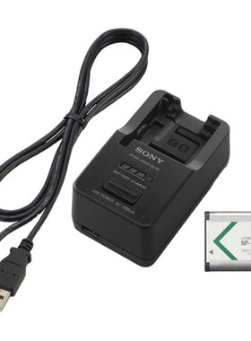 ACC-TRBX 数码相机充电器套装（带BX1电池和充电器）