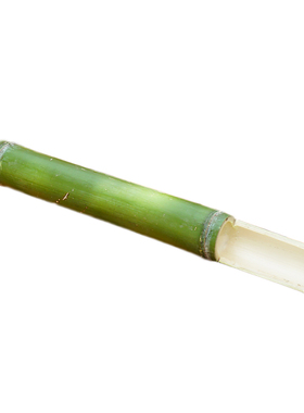 竹筒饭粽子模具现砍现做新鲜