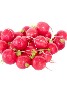 【老一生鲜】新鲜樱桃萝卜 500g  迷你小萝卜小红萝卜小红圆萝卜