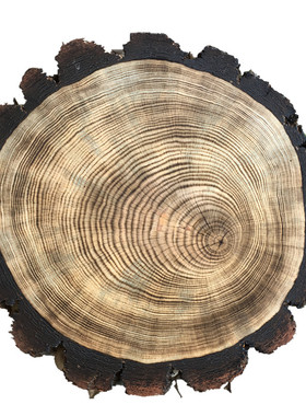 碳化手工diy木板圆形摄影年轮