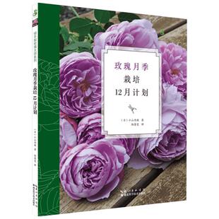 玫瑰月季栽培12月计划 小山内健 绿手指玫瑰大师系列 月季和玫瑰病虫害防治养护修剪技巧 玫瑰和藤本玫瑰品种介绍 新华书店正版图