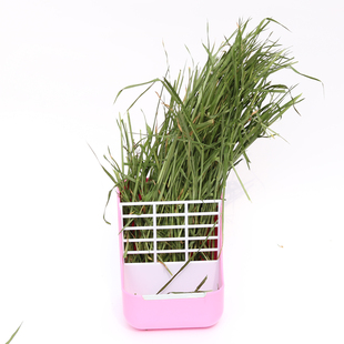 宠物兔小麦草粮22年新草精选麦苗烘干多维营养兔子荷兰猪小麦干草