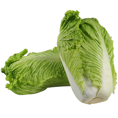 老北京冬储大白菜新鲜黄心包心菜