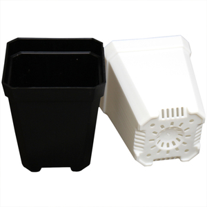 改进版-小/大黑方多肉托盘/盆7cm10cm全新料 好质量 适合小阳台