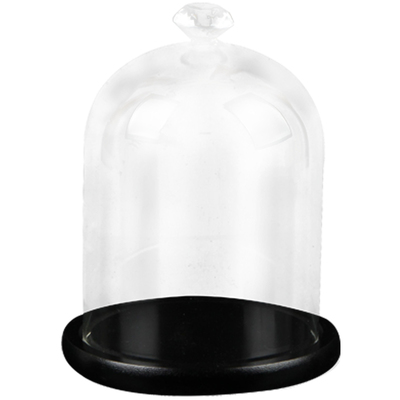 微景观玻璃情人节摆件永生花