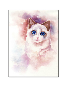 猫咪客厅卧室玄关无框画