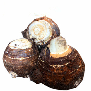 浦城芋头母大芋头非荔浦芋福建脆芋头香脆口感新鲜蔬菜23新货包邮