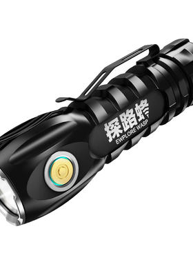 小型LED超长续航巡逻夜骑手电筒