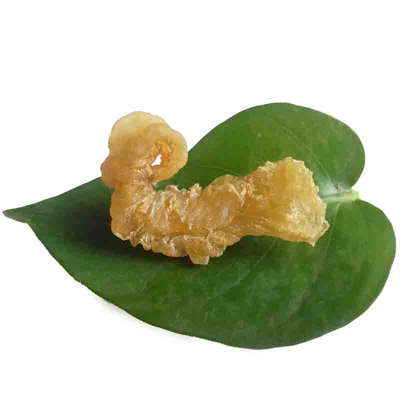 鱼胶 鱼肚 花胶 小金龙胶包邮促销试吃