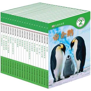 DK儿童目击者第2级全套20册儿童睡前故事0-3-6岁早教启蒙帝企鹅芭蕾舞百科全书英国宝宝科学绘本读物经典幼儿早教书绘本亲子