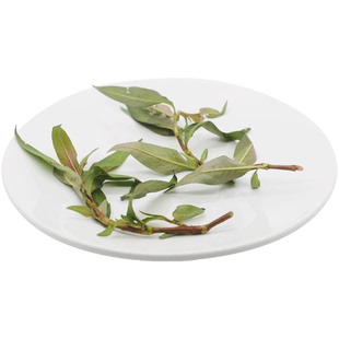 新鲜香草拉沙叶 香柳叶 叻沙叶 鱼生草 傣族佐料调味料香菜 250g