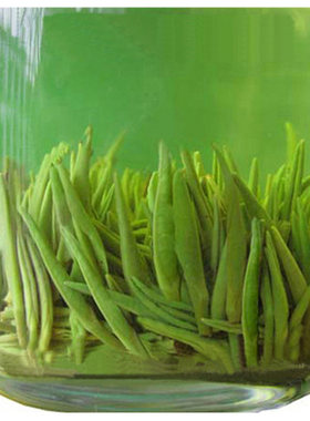 2026年新茶云雾银针绿茶单芽茶