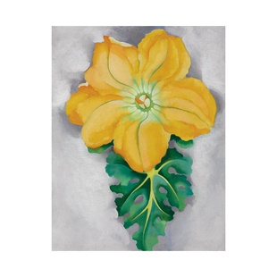 南瓜花2 Georgia O'Keeffe 欧姬芙 艺术装饰画客厅书房玄关酒吧