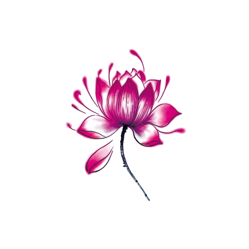 防水纹身贴女荷花红莲花仿真持久性感锁骨韩国网红同款古风彼岸花