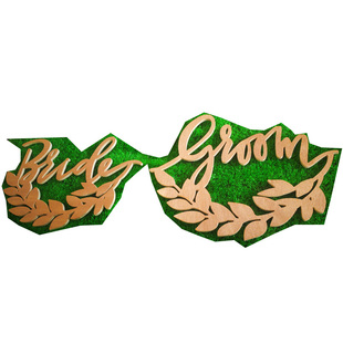 婚礼椅背挂饰Bride Groom新娘新郎装饰木质挂件标志Wedding Signs