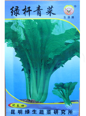 小苦菜绿生四季播种蔬菜种子阳台