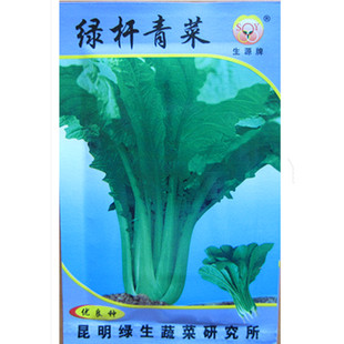 云南蔬菜种子包邮绿杆青菜20克昆明品种小苦菜籽家庭阳台花盆园艺