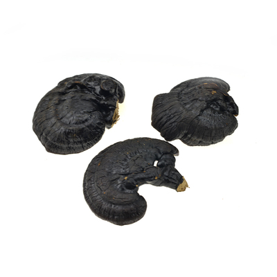 西藏灵芝无柄紫灵芝片磨粉500克