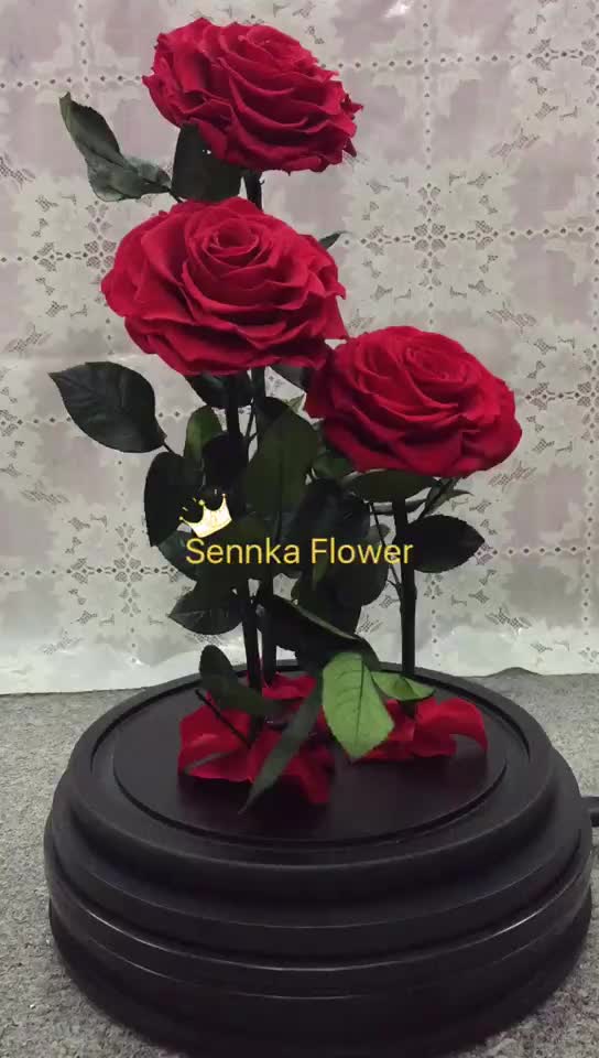 Whole Purple Color Preserved Rose Eternal Flower In Gl Dome Whole Purple Color Preserved Rose Eternal Flower In Gl Dome S