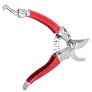 花剪园艺剪刀剪枝家用修剪树枝果树火龙果修枝剪花艺花枝粗枝剪刀