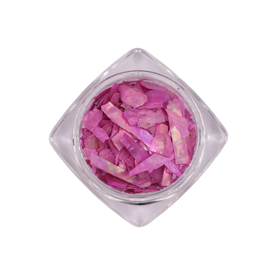 贝壳片美甲饰品螺钿超薄鲍鱼贝