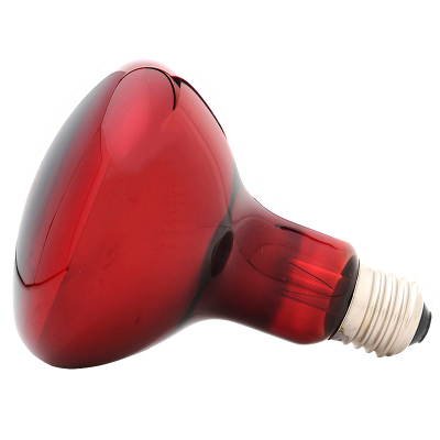 远红外线理疗仪灯泡220v100w瓦