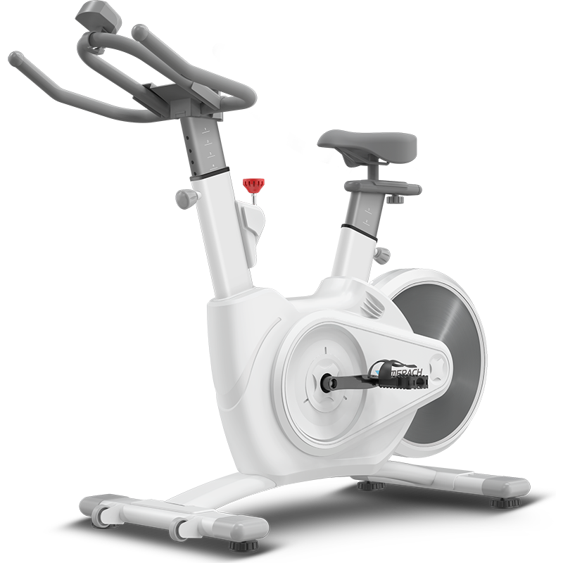 麦瑞克家用款锻炼超静音动感单车口碑评测啥样?选购攻略，看完再买不迟