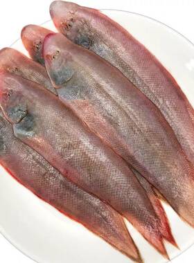 野生海捕牛舌鱼新鲜龙利鱼小踏板鱼鲜活舌头鱼鳎目鱼1斤约20-25个