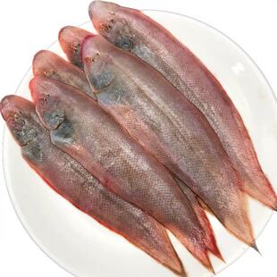 野生海捕牛舌鱼新鲜龙利鱼小踏板鱼鲜活舌头鱼鳎目鱼1斤约20-25个