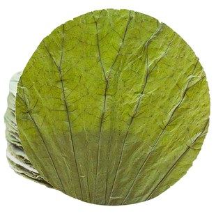 微山湖2024新整张荷叶片圆形28CM荷叶饭荷叶茶蒸饭糯米鸡100片/份