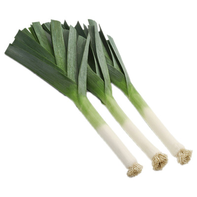 蔬菜宁夏青蒜春秋冬季韭葱