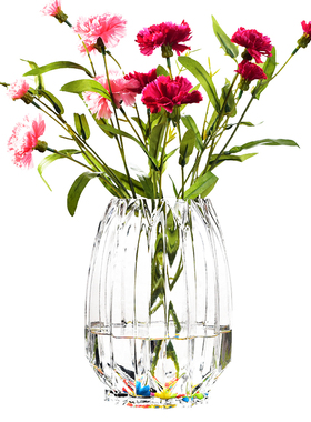 圆球绿萝水晶乌龟缸玻璃花瓶包邮