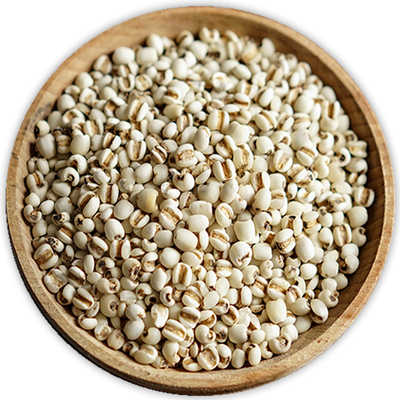 小薏米薏米仁薏仁米新货500g云南