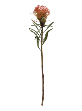 进口彩色天然植物软装球形干花