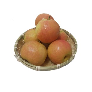 正宗辽宁鞍山大屯镇南果梨,南国梨五斤新鲜包邮产地直发软糯多汁