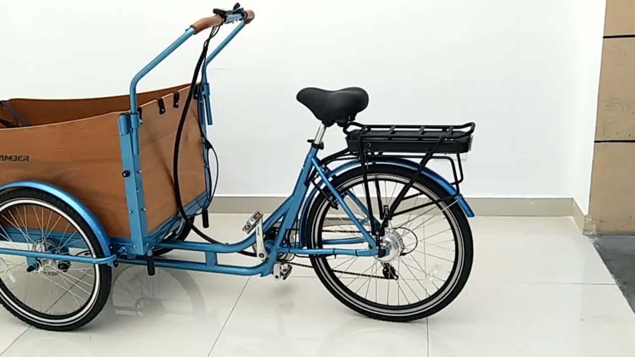 Three Wheel 6 Speeds Retro Electric Cargo Bike/tricycle For Sale