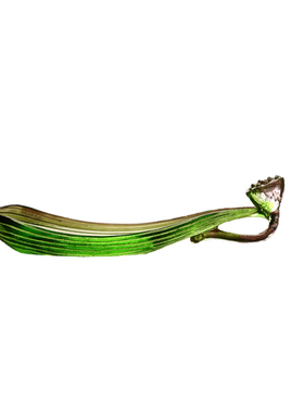 古法琉璃彩色莲花用品线香插
