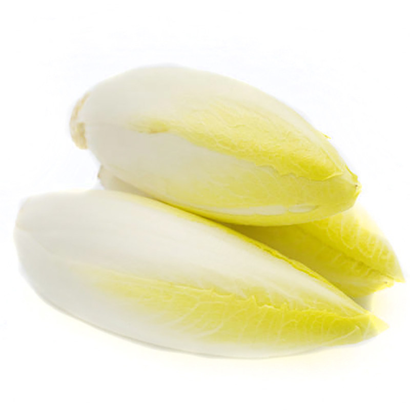 新鲜白玉兰 金玉兰 玉兰菜菊心 软化菊苣 生菜蔬菜沙拉500g